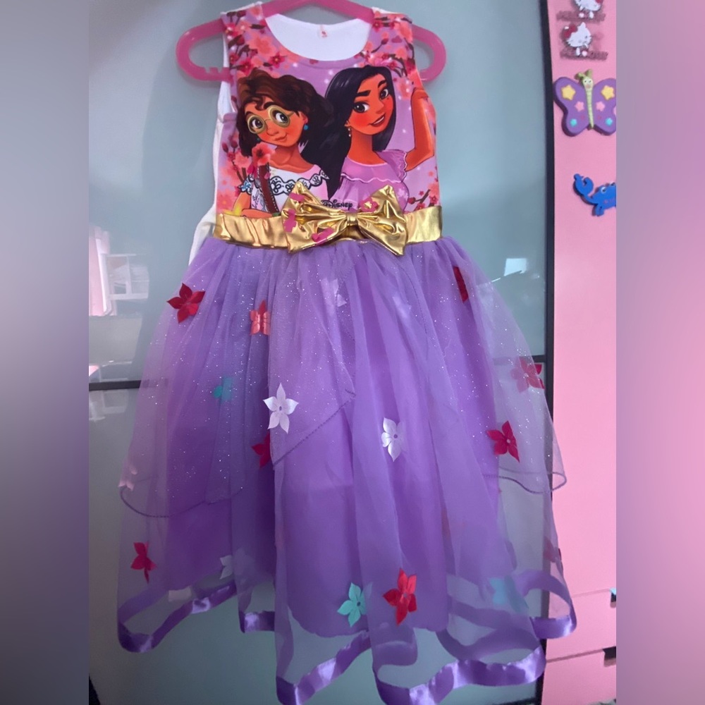 Encanto Dress Size 8